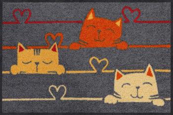 EFIA Salonloewe  TAPIS-PAILLASSON :  CAT LINE